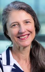Gill Schierhout