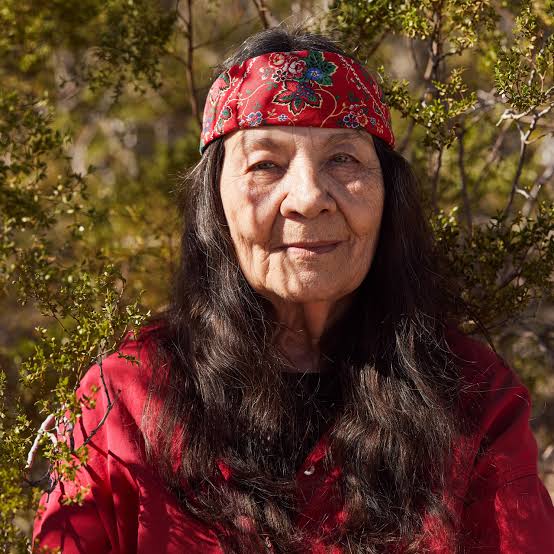Leslie Marmon Silko