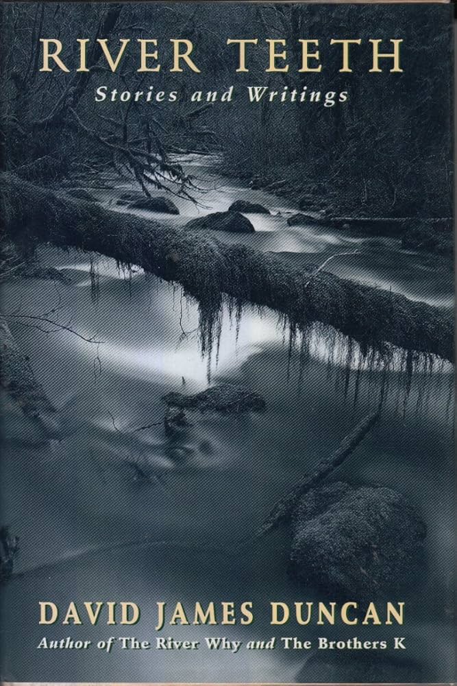 River Teeth Stories and Writing